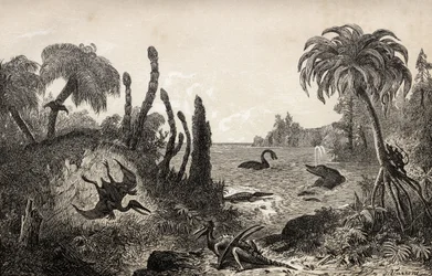 Paysage jurassique